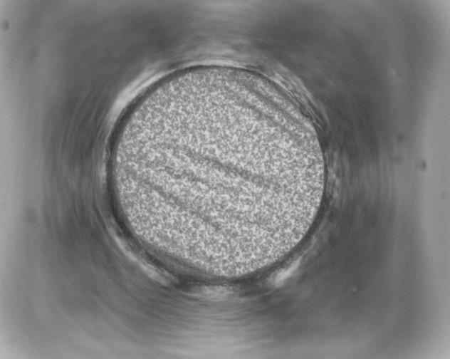 X0000085260344200704092120