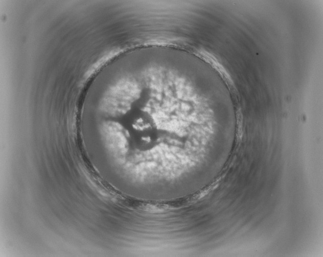 X0000085260346200704092120