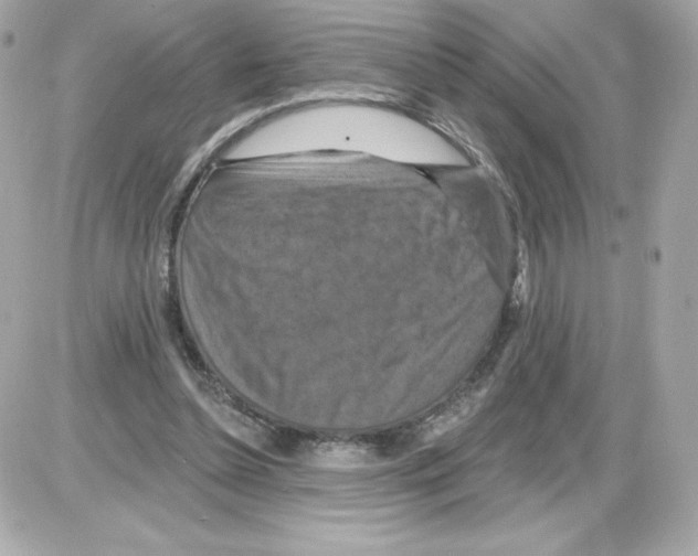 X0000085260348200704092120