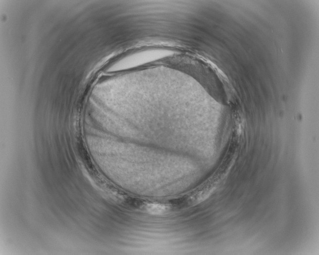 X0000085260352200704092120