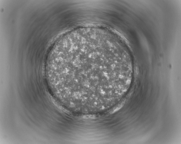 X0000085260353200704092120