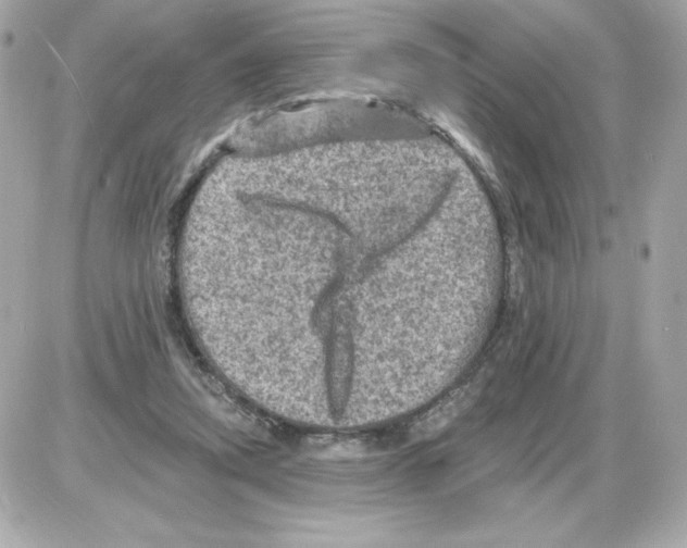 X0000085260354200704092120