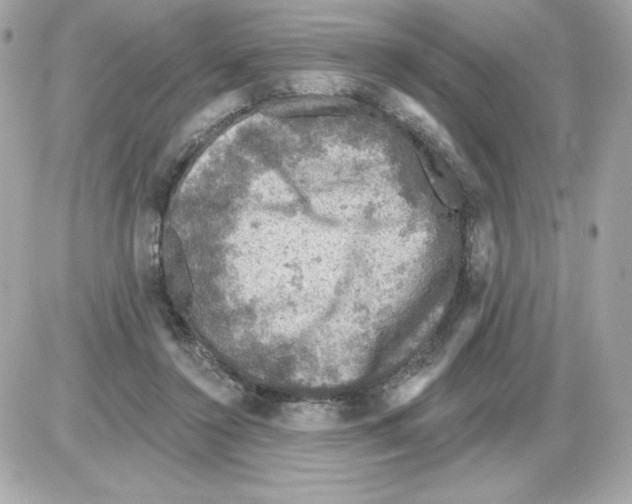 X0000085260356200704092120