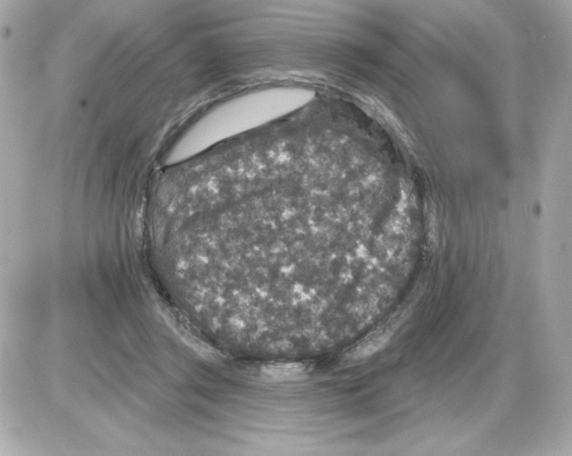 X0000085260357200704092120