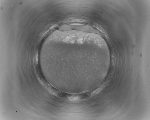 X0000085260358200704092120