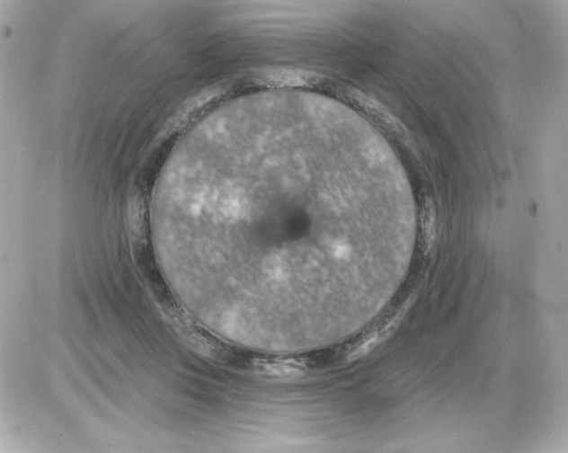 X0000085260359200704092120