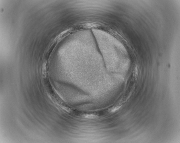 X0000085260360200704092120