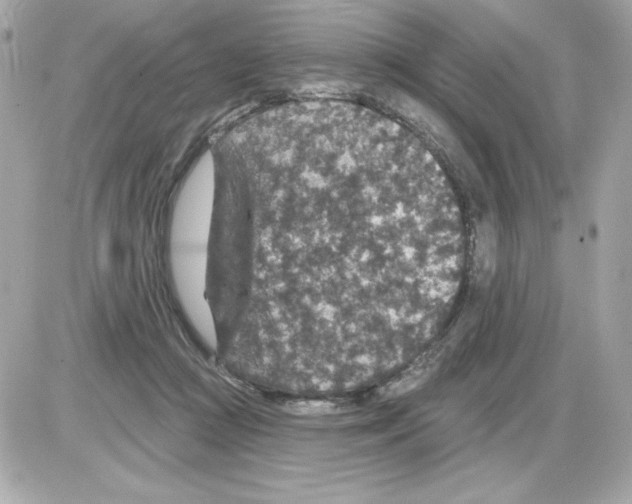 X0000085260361200704092120