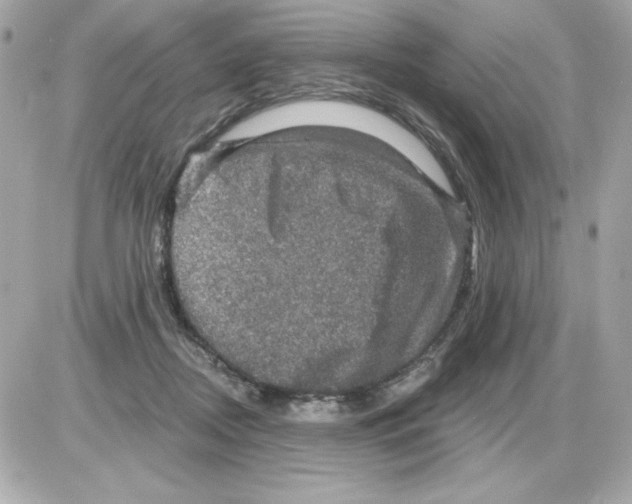 X0000085260362200704092120