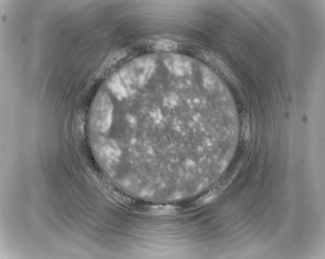 X0000085260363200704092120