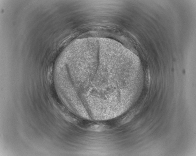 X0000085260364200704092120