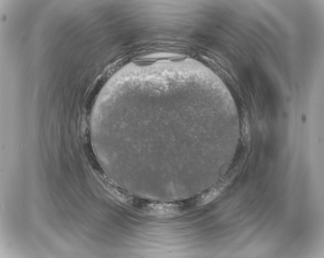 X0000085260367200704092120