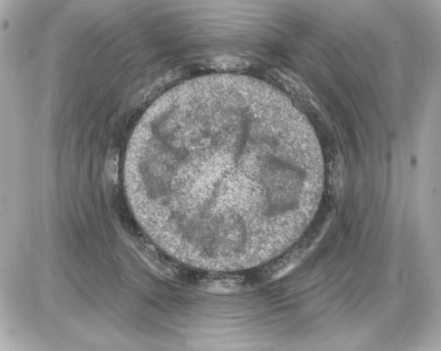 X0000085260368200704092120