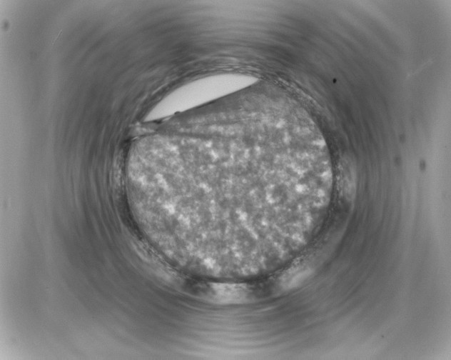 X0000085260371200704092120