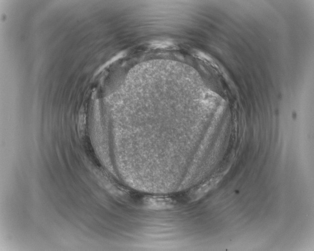 X0000085260372200704092120