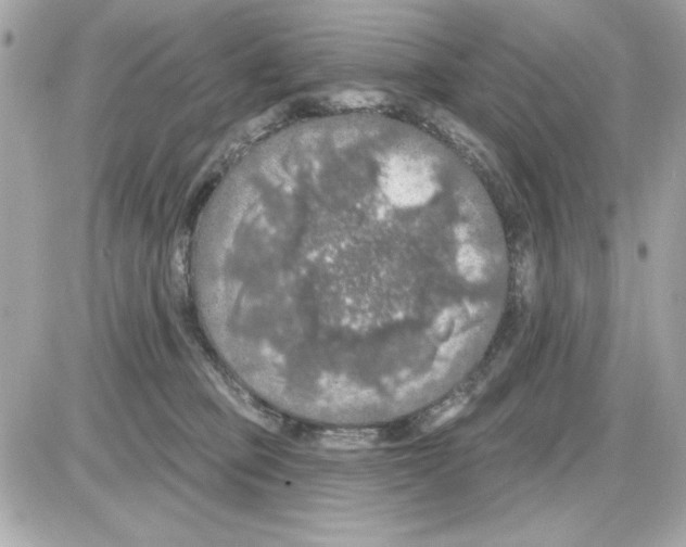 X0000085260373200704092120