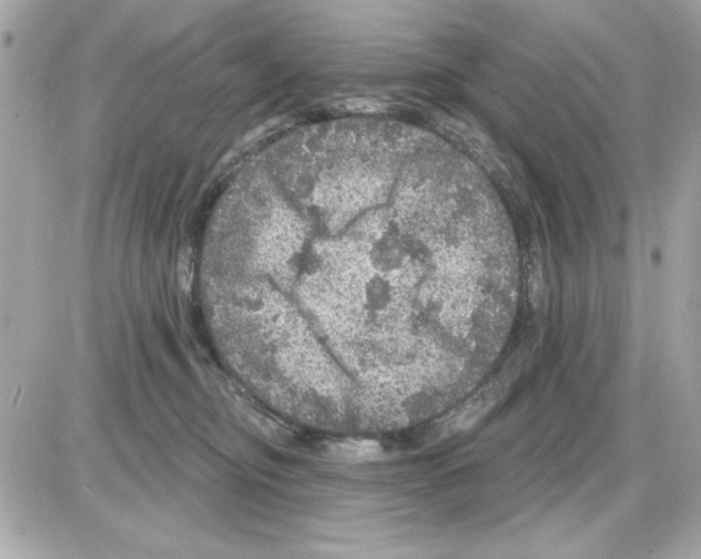 X0000085260374200704092120