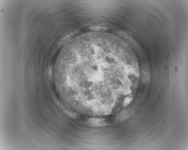 X0000085260375200704092120