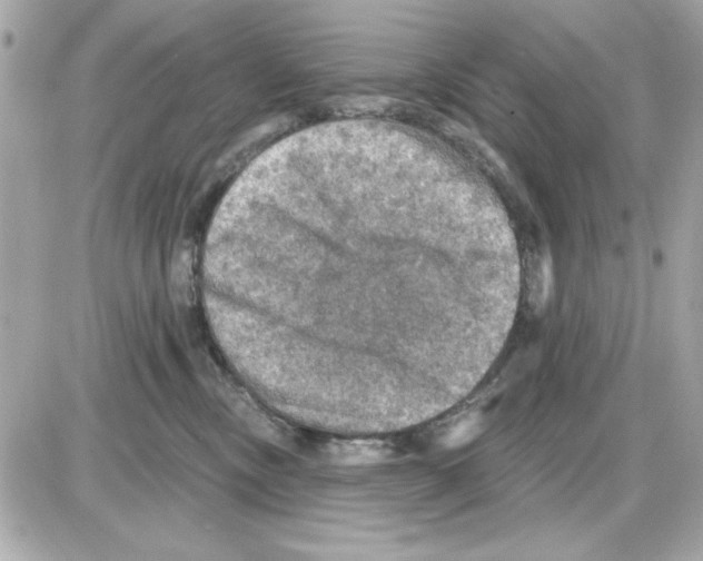 X0000085260378200704092121