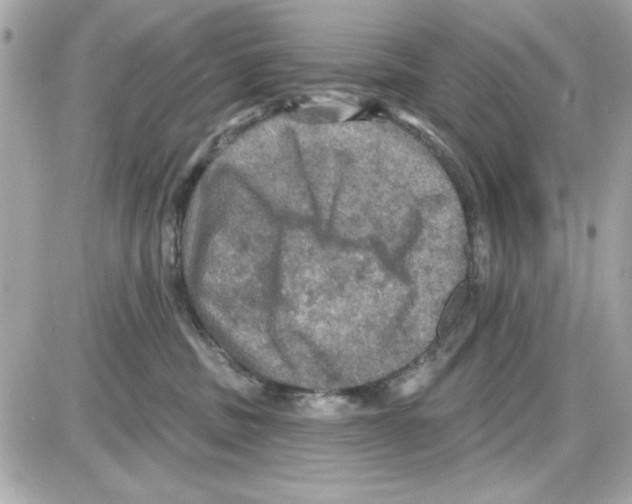 X0000085260379200704092121