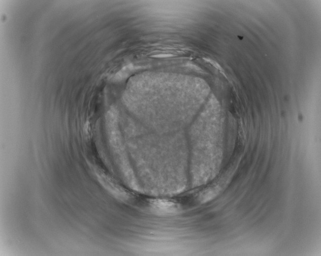 X0000085260380200704092121