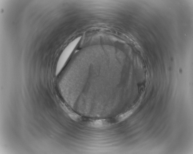 X0000085260382200704092121