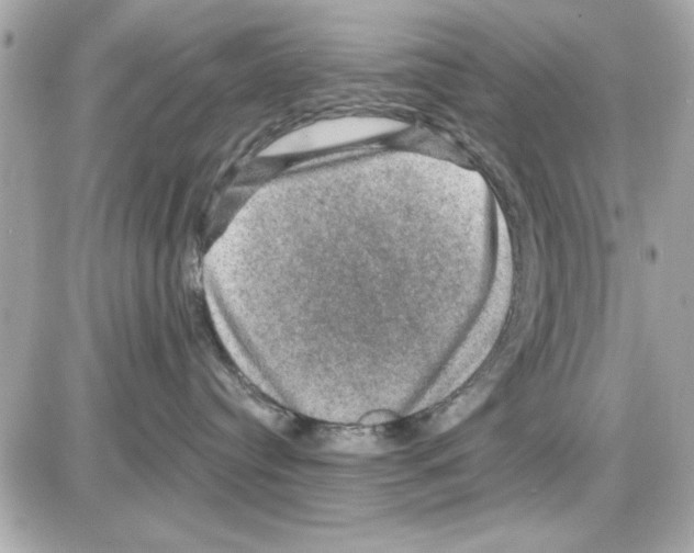 X0000085260384200704092121