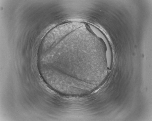 X0000085260385200704092120