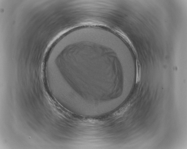 X0000085260387200704092120