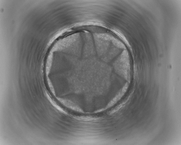 X0000085260389200704092120