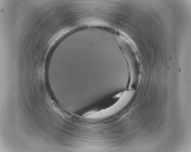 X0000085260391200704092120