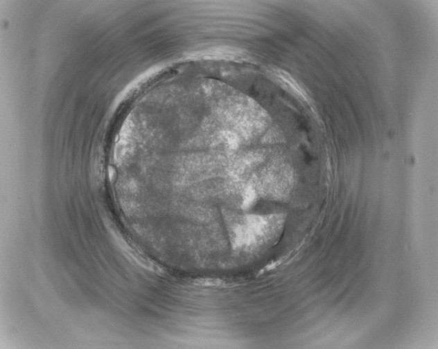 X0000085260392200704092120