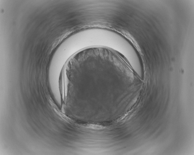 X0000085260393200704092120