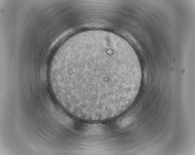 X0000085260396200704092120