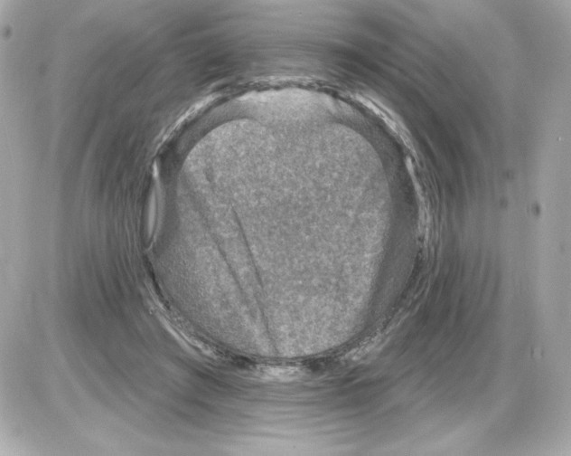 X0000085260401200704092120