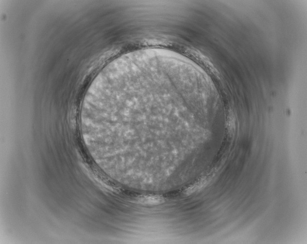 X0000085260402200704092119