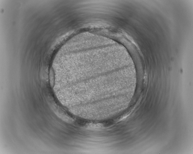 X0000085260403200704092119