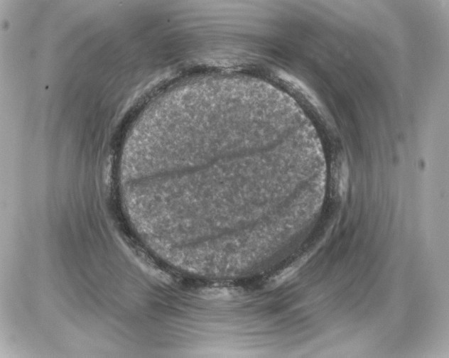 X0000085260404200704092119