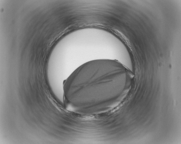 X0000085260405200704092119