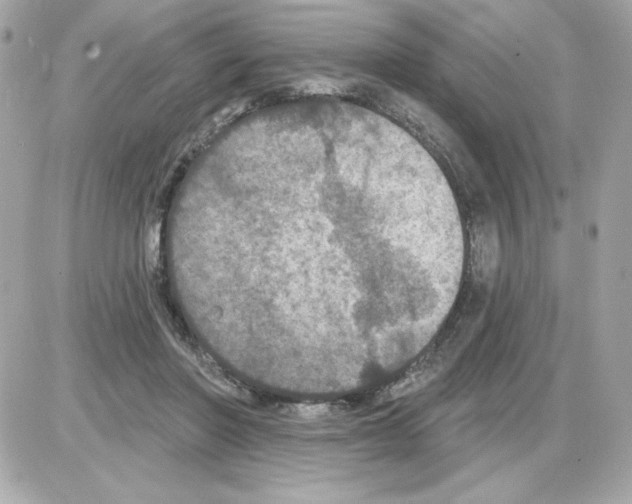 X0000085260406200704092119