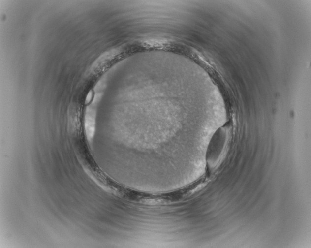 X0000085260408200704092119