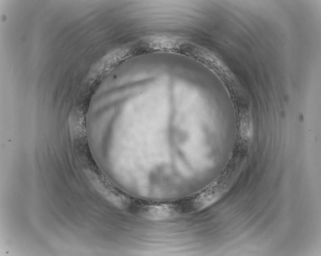 X0000085260411200704092119