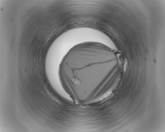 X0000085260412200704092119