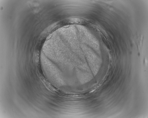 X0000085260413200704092119