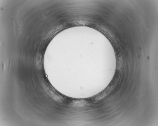 X0000085260414200704092119