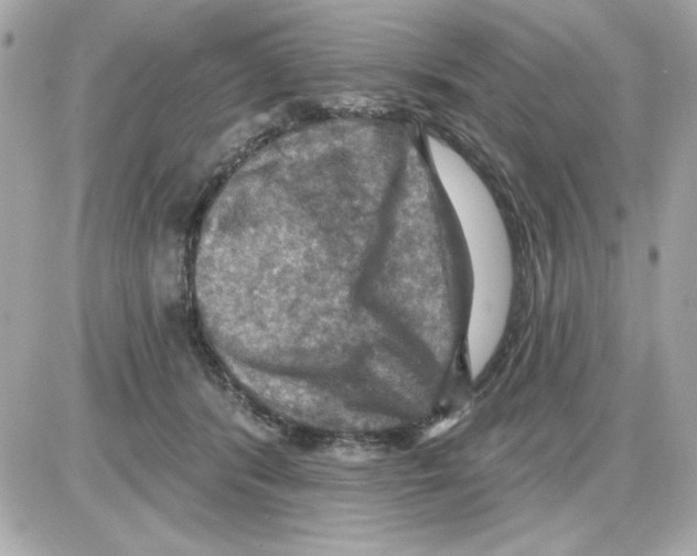 X0000085260416200704092119