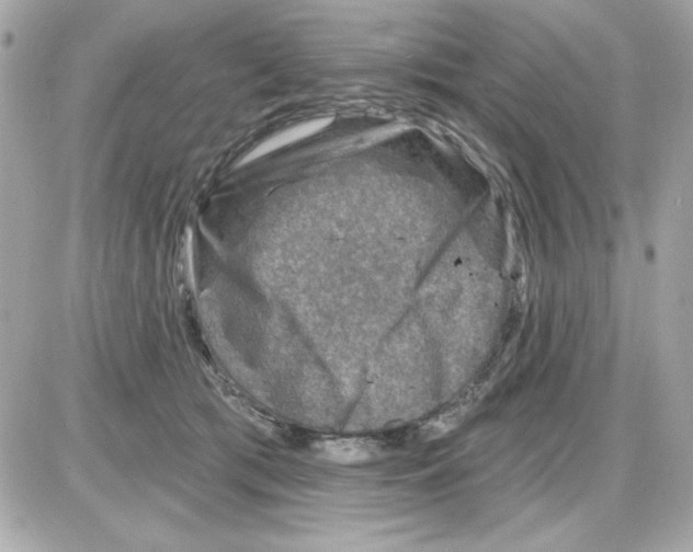 X0000085260417200704092119