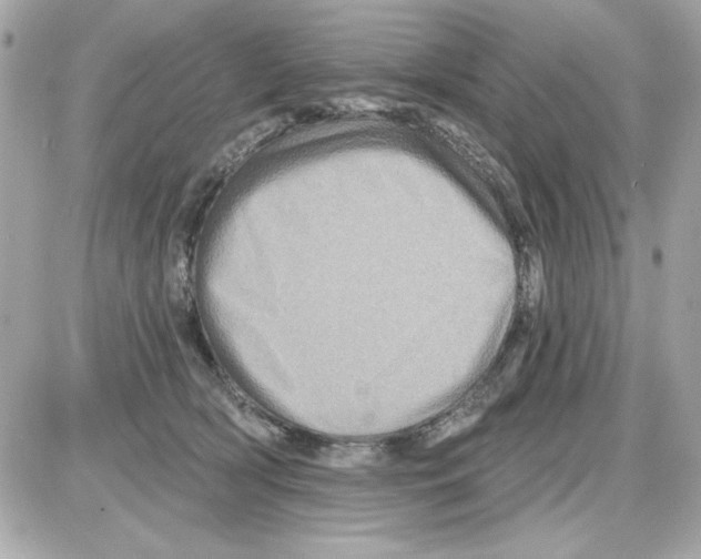 X0000085260418200704092119