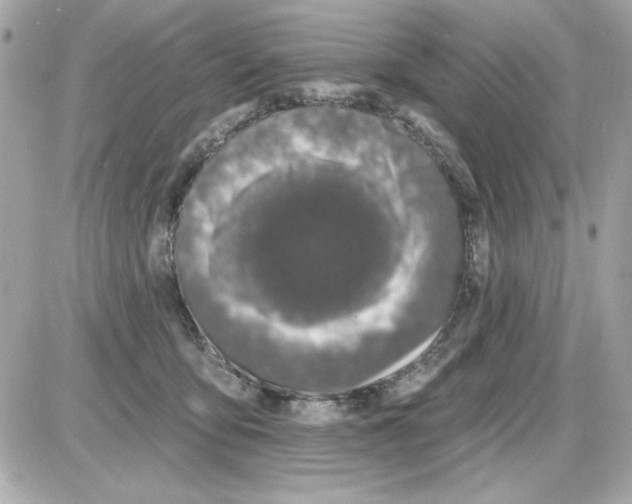 X0000085260419200704092119