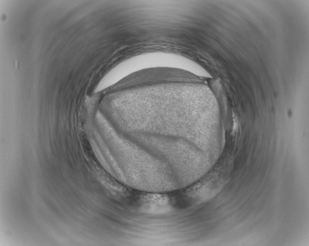 X0000085260421200704092119